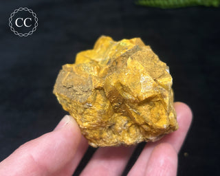 Hatteral Specimen #2