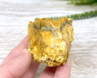 Hatteral Specimen #4