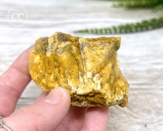 Hatteral Specimen #4