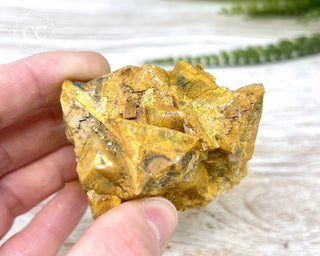 Hatteral Specimen #4