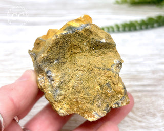 Hatteral Specimen #1