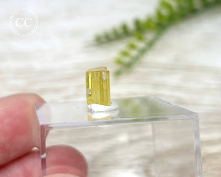 Heliodor Crystal #4