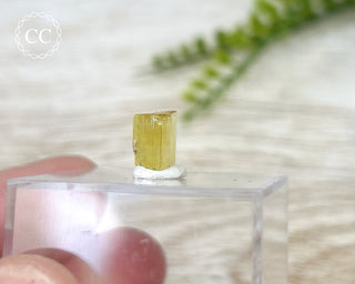 Heliodor Crystal #4