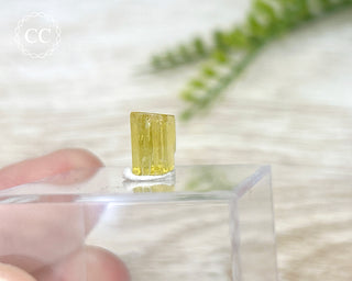 Heliodor Crystal #4
