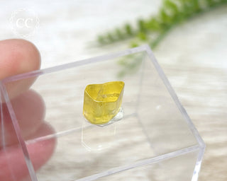 Heliodor Crystal #4