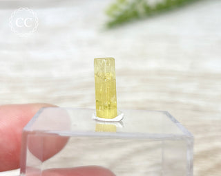 Heliodor Crystal #1