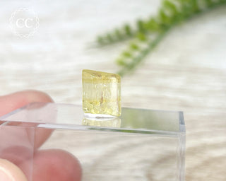 Heliodor Crystal #6