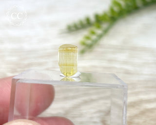 Heliodor Crystal #6