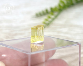 Heliodor Crystal #6