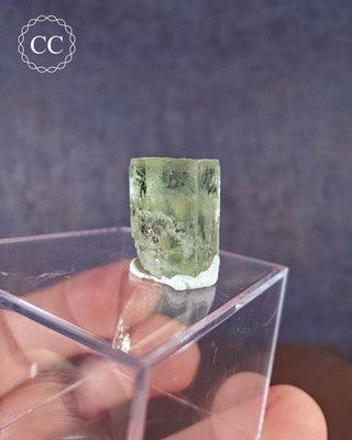 Heliodor Crystal - Padre Paraiso #3