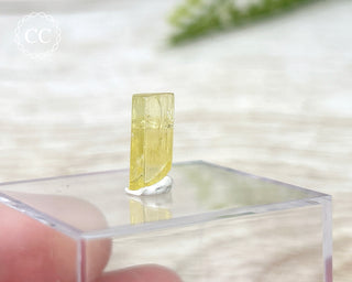 Heliodor Crystal #1