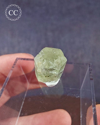 Heliodor Crystal - Padre Paraiso #3