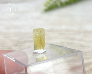 Heliodor Crystal #1