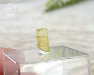 Heliodor Crystal #1