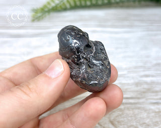 Hematite Ammonite | Ammonoid #12