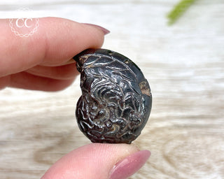 Hematite Ammonite | Ammonoid #10