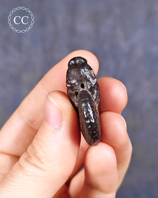 Hematite Ammonite | Ammonoid #3
