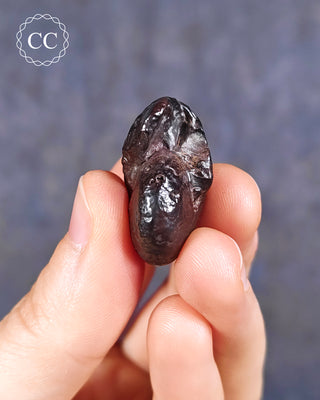 Hematite Ammonite | Ammonoid #4