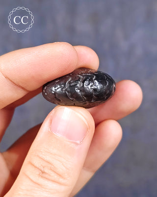 Hematite Ammonite | Ammonoid #4