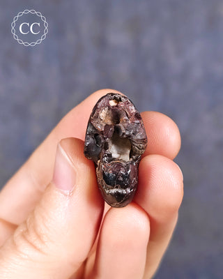 Hematite Ammonite | Ammonoid #6