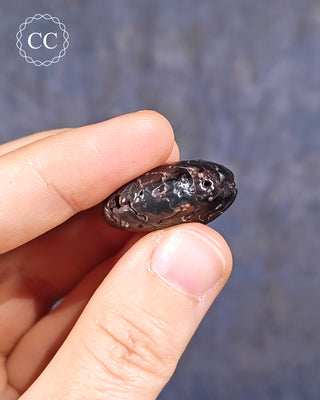 Hematite Ammonite | Ammonoid #6