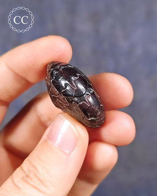 Hematite Ammonite | Ammonoid #7