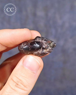 Hematite Ammonite | Ammonoid #7