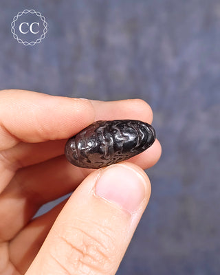 Hematite Ammonite | Ammonoid #8