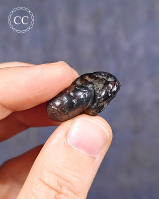 Hematite Ammonite | Ammonoid #9