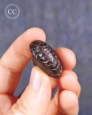 Hematite Ammonite | Ammonoid #9