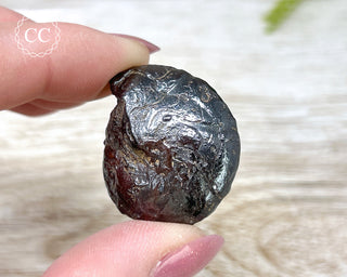 Hematite Ammonite | Ammonoid #5