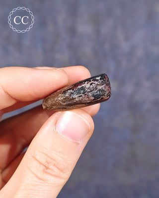 Hematite Ammonite | Ammonoid #11