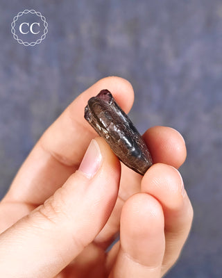 Hematite Ammonite | Ammonoid #11
