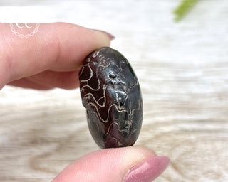 Hematite Ammonite | Ammonoid #6
