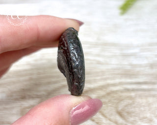 Hematite Ammonite | Ammonoid #7
