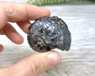 Hematite Ammonite | Ammonoid #12