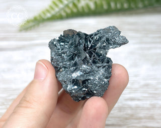 Specular Hematite - Elba Island #16