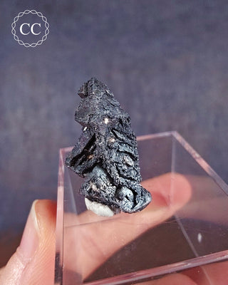 Hematite after Magnetite Pseudomorph - Argentina #3