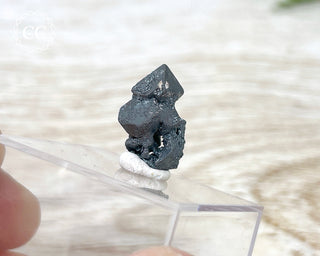 Hematite after Magnetite Pseudomorph - Argentina #2