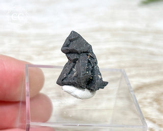 Hematite after Magnetite Pseudomorph - Argentina #3