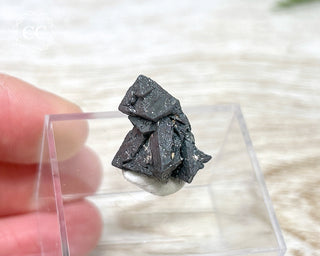 Hematite after Magnetite Pseudomorph - Argentina #3