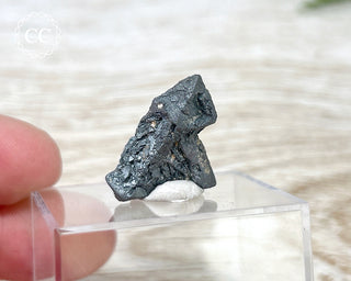 Hematite after Magnetite Pseudomorph - Argentina #3