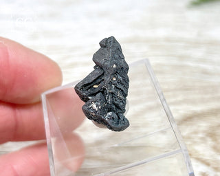Hematite after Magnetite Pseudomorph - Argentina #3