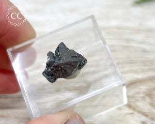 Hematite after Magnetite Pseudomorph - Argentina #3