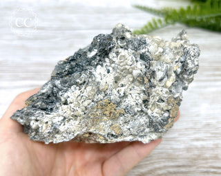 Bladed Hematite & Calcite Specimen - Murcia #2