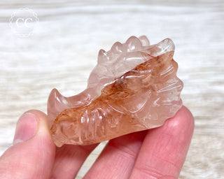 Hematoid Quartz | Fire Quartz Dragon Head #4