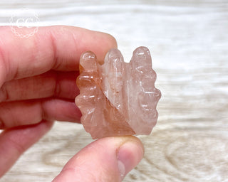Hematoid Quartz | Fire Quartz Dragon Head #4