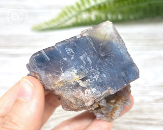 Hesselbach Fluorite Specimen #2