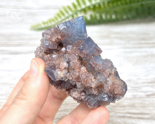 Hesselbach Fluorite Specimen #1