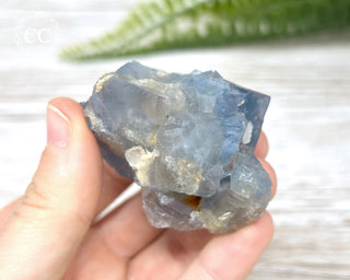 Hesselbach Fluorite Specimen #3